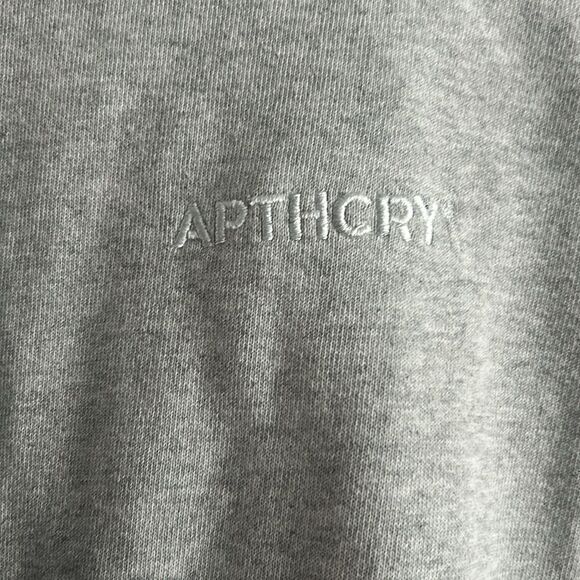 APTHCRY Logo Heavyweight Hoodie Streetwear Gray Size L - Picture 3 of 5